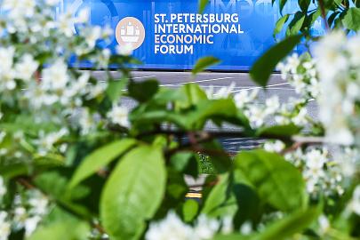 Основные тезисы о ПМЭФ 2026